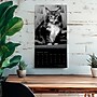 2026 BrownTrout The BrownTrout Portrait Series: The Regal Cat 12" x 12" Monthly Wall Calendar (9798330707874)~#|#~A241649B-9D32-42AA-9E16839F940816E1_sc7