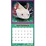 2026 BrownTrout Adorable Axolotl 12" x 12" Monthly Wall Calendar (9798330708079)~#|#~A2689969-E58B-454E-B08F1A01F93AC561_sc7