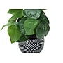 Monarch Specialties Inc. 8" Artificial Alocasia Plant in Pot, 2/Set (I 9559)~#|#~A2B70508-3E06-41C7-8DC697F1EE55E77B_sc7