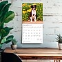 2026 BrownTrout Chiots 12" x 12" Monthly Wall Calendar (9798330707386)~#|#~A2D59BD5-2456-4C3C-A5010A54EA5E8B5A_sc7
