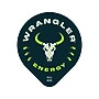 Java House Wrangler Liquid Energy Pods, 1.35 oz., 12/Carton (FC900E10)~#|#~A2D89019-A224-4A06-BDFB55303EF192E8_sc7