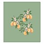 Blue Sky Letterpress 1-1/4" 3-Ring Standard Binder, Lemons (155603)~#|#~A2FE5878-AC04-4AB5-9E8FA131821517F7_sc7