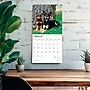 2026 BrownTrout Australian Kelpies 12" x 12" Monthly Wall Calendar (9798330702206)~#|#~A326A047-3206-489A-9D0D48032F5895F9_sc7