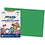 Prang 12" x 18" Construction Paper, Holiday Green, 50 Sheets/Pack (P8007-0001)~#|#~A343E3E9-F656-40EB-A29372EEA8BB0A95_sc7