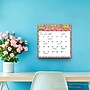 2026-2027 Plato Good Vibes 12" x 12" Academic Monthly Wall Calendar (9798330709212)~#|#~A383CB73-4565-44D2-90C8D91390238A99_sc7