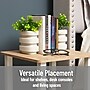 Mind Reader Concrete Book Ends, 5", White, 2/Set (OVBPLANT-WHT)~#|#~A4040F4B-A291-4F82-BFE22B5AC62C7FE5_sc7