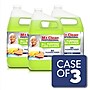 Mr. Clean Professional Liquid Concentrate All Purpose Floor Cleaner, Lemon Scent, 1 Gallon, 3/Carton (02621)~#|#~A41F9515-1CA0-4CB8-99A24158D9E8498C_sc7