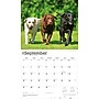 2026 BrownTrout For the Love of Labrador Retrievers 14" x 12" Monthly Wall Calendar (9798330707164)~#|#~A4F927F7-AC4D-4C3E-B219DFC64BD78E68_sc7