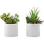 Monarch Specialties Inc. Succulents in Pots, 2/Pack (I 9588)~#|#~A5198749-2922-44FD-8B7AD077CBC64B9D_sc7