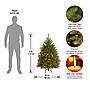 National Tree Company 4' Pre-Lit Dunhill Fir Artificial Christmas Tree (DUH-40LO)~#|#~A547C42D-6395-495E-9CF4B78DD34583BA_sc7