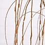 Nearly Natural 4' Pre-Lit Artificial Willow Tree with 120 Warm White LED Lights (T4913)~#|#~A54D5DF1-F849-4FF2-B4BAEE2EF62B961A_sc7