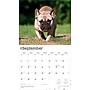 2026 BrownTrout For the Love of French Bulldogs 14" x 12" Monthly Wall Calendar (9798330707201)~#|#~A5C16133-12DB-4D9D-98C3EF588045A0DE_sc7