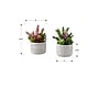 Monarch Specialties Inc. 9" Artificial Succulent Plant in Pot, 2/Set (I 9366)~#|#~A6ABA952-DC68-40E9-B004CED4B8AFC69E_sc7