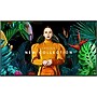 Samsung QMC 43" Smart 4K Ultra TV (QM43C)~#|#~A6D6307F-A25F-4D34-91797402EFAD51CB_sc7