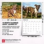 2027 BrownTrout For the Love of American Pit Bull Terriers 14" x 12" Monthly Wall Calendar, Assorted Colors (9798330714759)~#|#~A705D072-0832-448C-8B46B03EC342702A_sc7