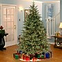 National Tree Company 6.5' Pre-Lit Frasier Grande Artificial Christmas Tree (PEFG4-308D-65)~#|#~A78CEF60-6781-4C8B-8EAF943010260F36_sc7