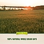 Nature Valley Sweet & Salty Peanut Nut Bar, 16 Bars/Box (GEM42067)~#|#~A796BF84-D7A3-49D1-94C3B796049FD3C9_sc7