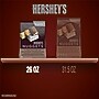 Hershey's Nuggets  Assorted Chocolate Candy Variety Party Pack, 26 oz. (HEC01878)~#|#~A79F752A-D06F-4933-90F27CFE9A5ED952_sc7
