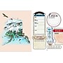 Quarto The 50 States Bucket List Guided Journal, 6.6" x 8.65", Blue, 176 Pages (9780760388495)~#|#~A7E6C8A1-5582-4758-A7B227AFEFEAF3D5_sc7