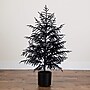 Nearly Natural Artificial Halloween Real Touch Black Norfolk Pine Christmas Tree, 4' (T5242)~#|#~A7EAE058-20C7-4C25-BB5B1304B50768D1_sc7