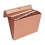 Staples Letha-Tone Expanding File, Blank Index, Letter Size, 13-Pocket, Brown (20036S)~#|#~A815CD96-64E9-4A1E-A4D1C1FBE427FAD1_sc7