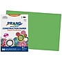 Prang 12" x 18" Construction Paper, Bright Green, 50 Sheets/Pack (P9607-0001)~#|#~A81CB371-E26E-45DF-A2576DDF753CF1C9_sc7