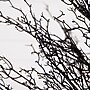 Nearly Natural 4' Pre-Lit Halloween Black Twig Artificial Fall Tree in Burlap Planter with 63 Warm White LED Lights (T4727)~#|#~A84FDC66-59CA-46D9-B367C7E4620B4A9F_sc7