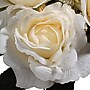National Tree Company 19" Cream Rose Bundle (RAS-H18028CR-1)~#|#~A9644A4E-F7BE-4F03-99ACCCDB3A3DC573_sc7