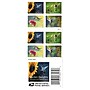 USPS Garden Delights Forever 20 Postage Stamps (FOR-GARDENDE-20)~#|#~A9BDB676-A056-44E0-AABDAB781A8CD44C_sc7