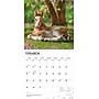 2026 BrownTrout Colts and Fillies 12" x 12" Monthly Wall Calendar (9798330703012)~#|#~A9E33546-11D7-4A1B-8ACEFD02A0E326B5_sc7