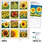 2026 Plato Sunflowers 12" x 12" Monthly Wall Calendar (9798330706655)~#|#~AA5B59B4-538D-4D5F-85C7719756159B00_sc7