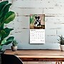 2026 BrownTrout Border Collie Puppies 7" x 7" Monthly Wall Calendar (9798330702534)~#|#~AAFE71E7-C9C9-431B-912597E89C609F26_sc7
