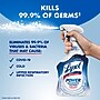 Lysol Disinfectant Power Bathroom Foamer, Atlantic Fresh Scent, 32 oz. (36241-02699)~#|#~AB6EEB4F-EDD6-4DF9-BE3E02170C693D33_sc7