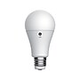 GE Classic 17 Watts Soft White LED Commercial Bulb (93130566)~#|#~sp243128080_sc7