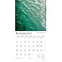 2026 BrownTrout Florida Nature 12" x 12" Monthly Wall Calendar (9798330703265)~#|#~ABF5B60A-C881-4FCE-AAF9FE13CDD3D26F_sc7