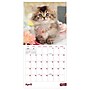 2027 TF Publishing Kittens 12" x 12" Monthly Wall Calendar (27-1013)~#|#~AC39A440-00FA-408F-920207E734B1C011_sc7