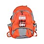 First Aid Only 209-Piece Shelter-in-Place Emergency Preparedness Backpack, Orange/Gray (91308)~#|#~AD30B605-1664-4928-A68C1092F153AF41_sc7