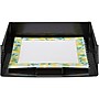 Deflecto Industrial Front-Load Tray, Black (DEF63905)~#|#~AD776B49-1583-4FE3-A9163E0FC8097E48_sc7