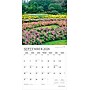 2026 Plato Gorgeous Gardens 12" x 12" Monthly Wall Calendar (9798330706679)~#|#~AD80BA76-AFF5-4C8F-BF127265477714A8_sc7
