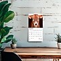 2026 BrownTrout Baby Moo Moos 7" x 7" Monthly Wall Calendar (9798330702275)~#|#~AD851A7B-F963-45D6-8381BA09ACDD4522_sc7