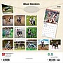 2026 BrownTrout Blue Heelers 12" x 12" Monthly Wall Calendar (9798330702527)~#|#~AEAE0E70-E13E-439C-93058B77170E0395_sc7