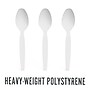 Perk™ Polystyrene Spoon, Heavy-Weight, White, 100/Pack (PK56405)~#|#~AEFA17A9-E4C2-4EA0-9066789E2263CE2C_sc7