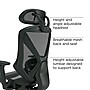 Staples® Dexley Ergonomic Mesh Swivel Task Chair, Black (UN56946)~#|#~AF9AC6EB-9FC3-4945-B360509C046EF94F_sc7