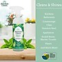 Absolute Green Eco-Friendly  All-Purpose Cleaner, Peppermint Scent, 25 Fl Oz.,  6/Carton (AG14-ST-6)~#|#~AFCAA6F9-D962-4F9E-8248D563C919460F_sc7