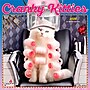 2026 Plato Avanti Cranky Kitties 12" x 12" Monthly Wall Calendar (9798330701421)~#|#~B00CB134-546C-45B2-B621EFB83ABA3DCE_sc7