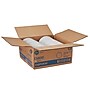 Dixie Basic Light-Weight Paper Plate by GP PRO, 6", White, 1200/Carton (DBP06W)~#|#~B0103198-077B-459C-8F28A1662F8C522A_sc7