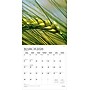 2026 Plato Simplicity 12" x 12" Monthly Wall Calendar (9798330706686)~#|#~B100FB2C-7A29-4EEC-88F2AA066FBDFD2F_sc7