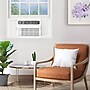 Frigidaire 230-Volt 18800 BTU Window Air Conditioner with Remote, White (FHWH184WB2)~#|#~B196EE76-1B7B-48D8-8D160A90E7B96BD4_sc7