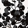 Nearly Natural Pre-Lit Artificial Halloween Black Eucalyptus Tree, 3' (T5220)~#|#~B1ADFA0C-22DB-483B-8B1F8A9C61CA8CAE_sc7