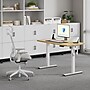 FlexiSpot E2 48''W Electric Rectangular Adjustable Standing Desk, Maple/White (E2W4824M)~#|#~B2741D8E-4B0C-44ED-A22EFB32877CA44A_sc7